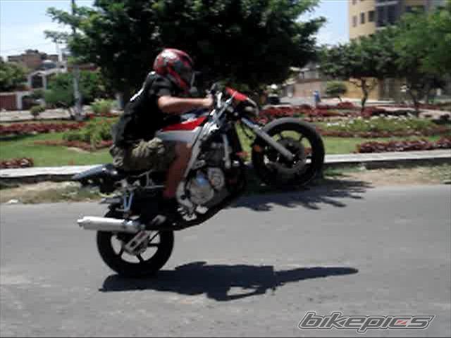 Photo 1266343