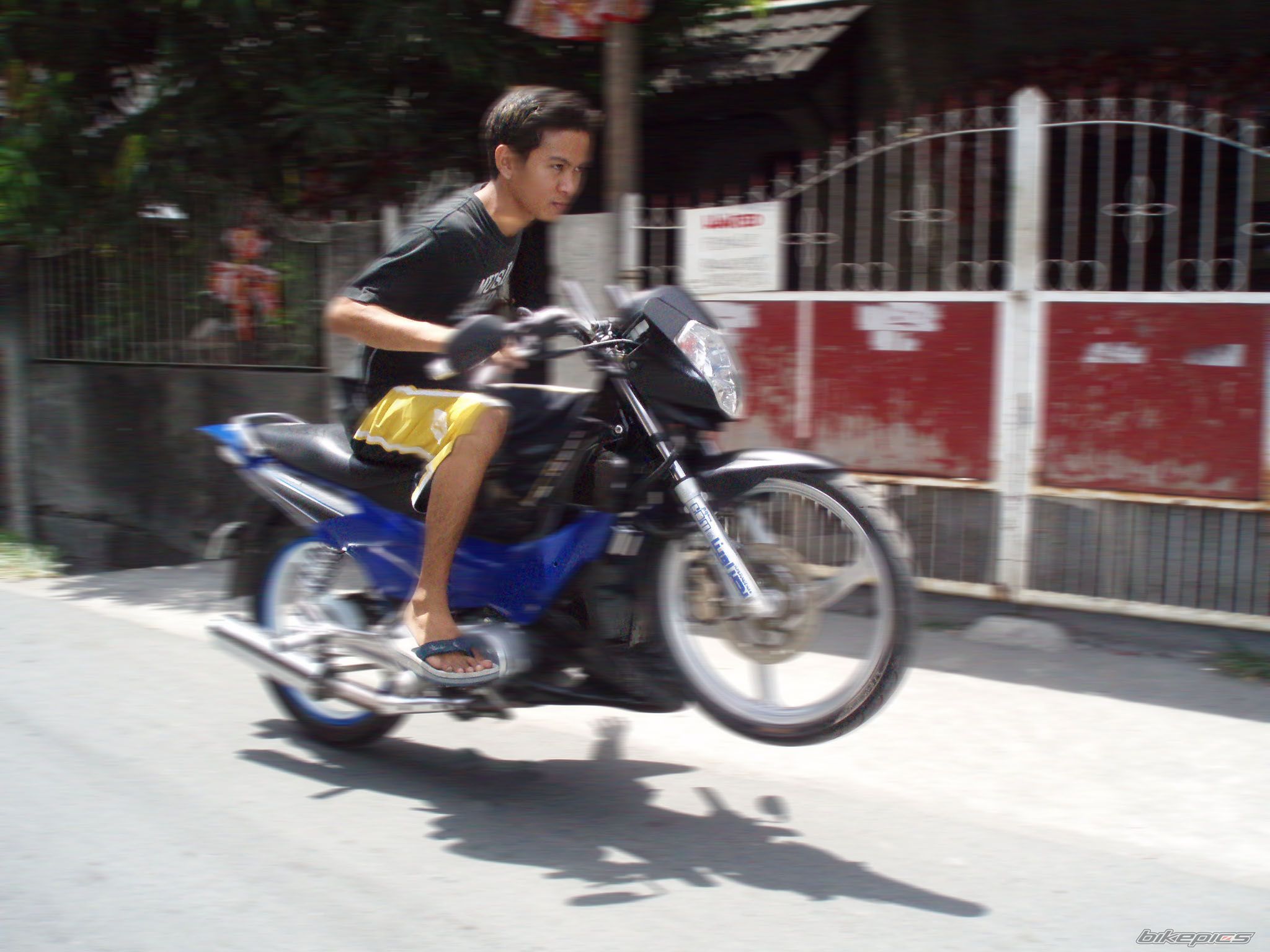 Photo 1266348