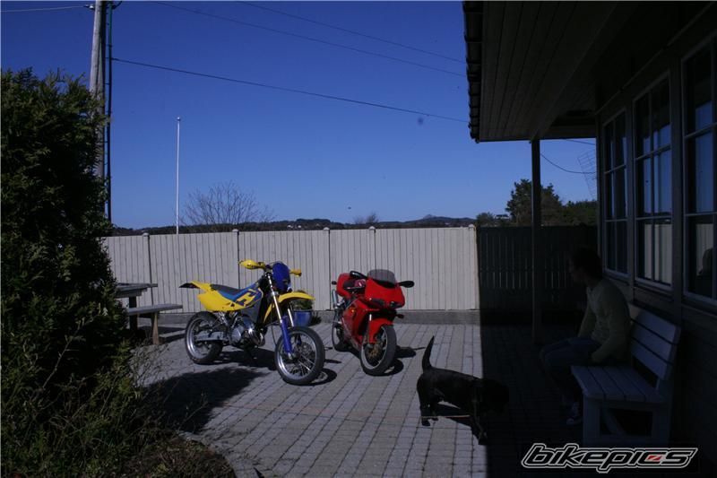 Bike Photo 1266455