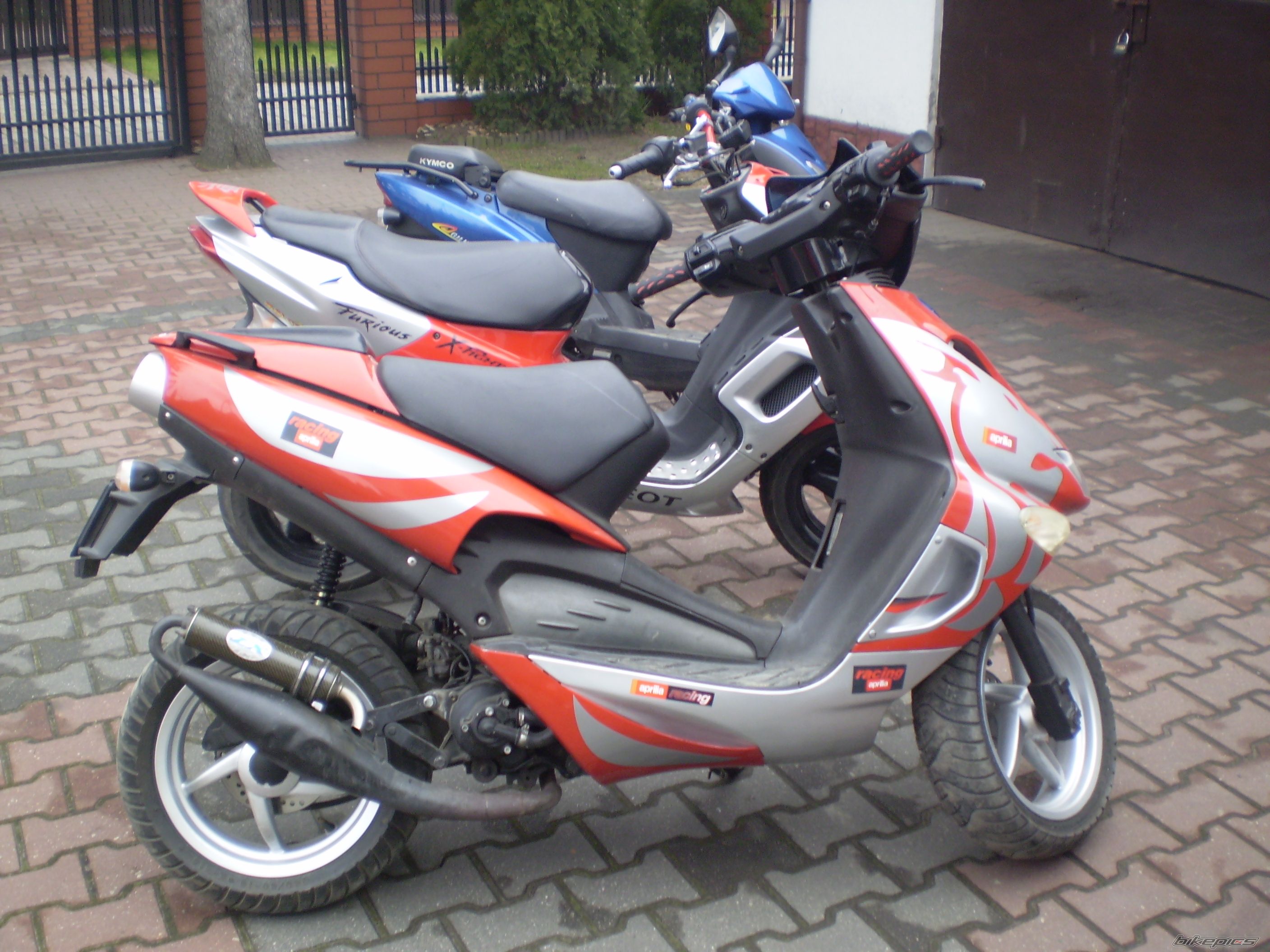 Photo 1266473