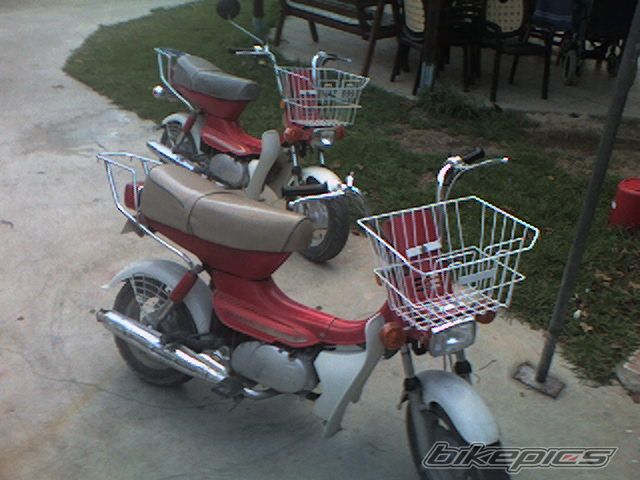 Photo 1266485
