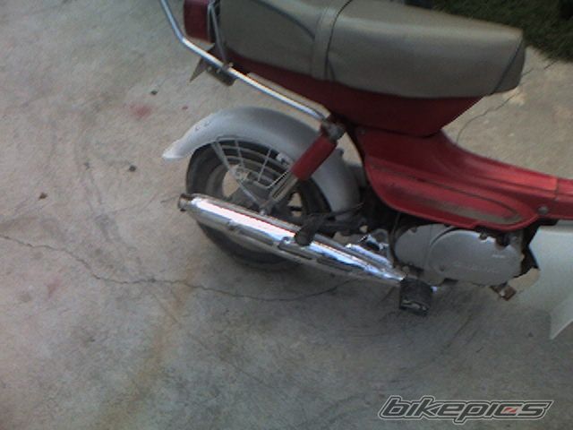 Photo 1266488