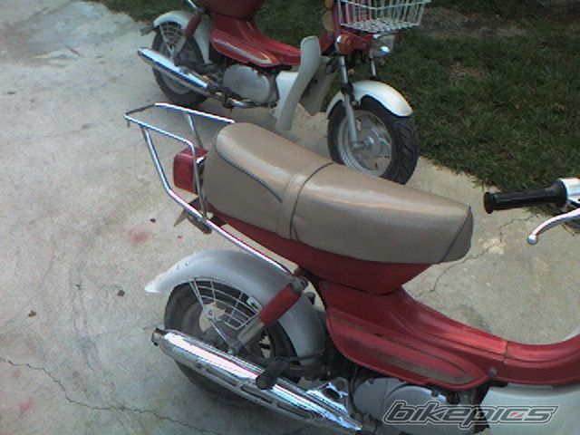 Photo 1266490