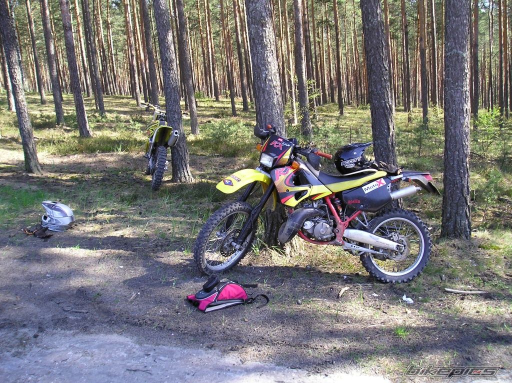 Photo 1266538
