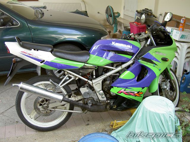 Photo 1266588