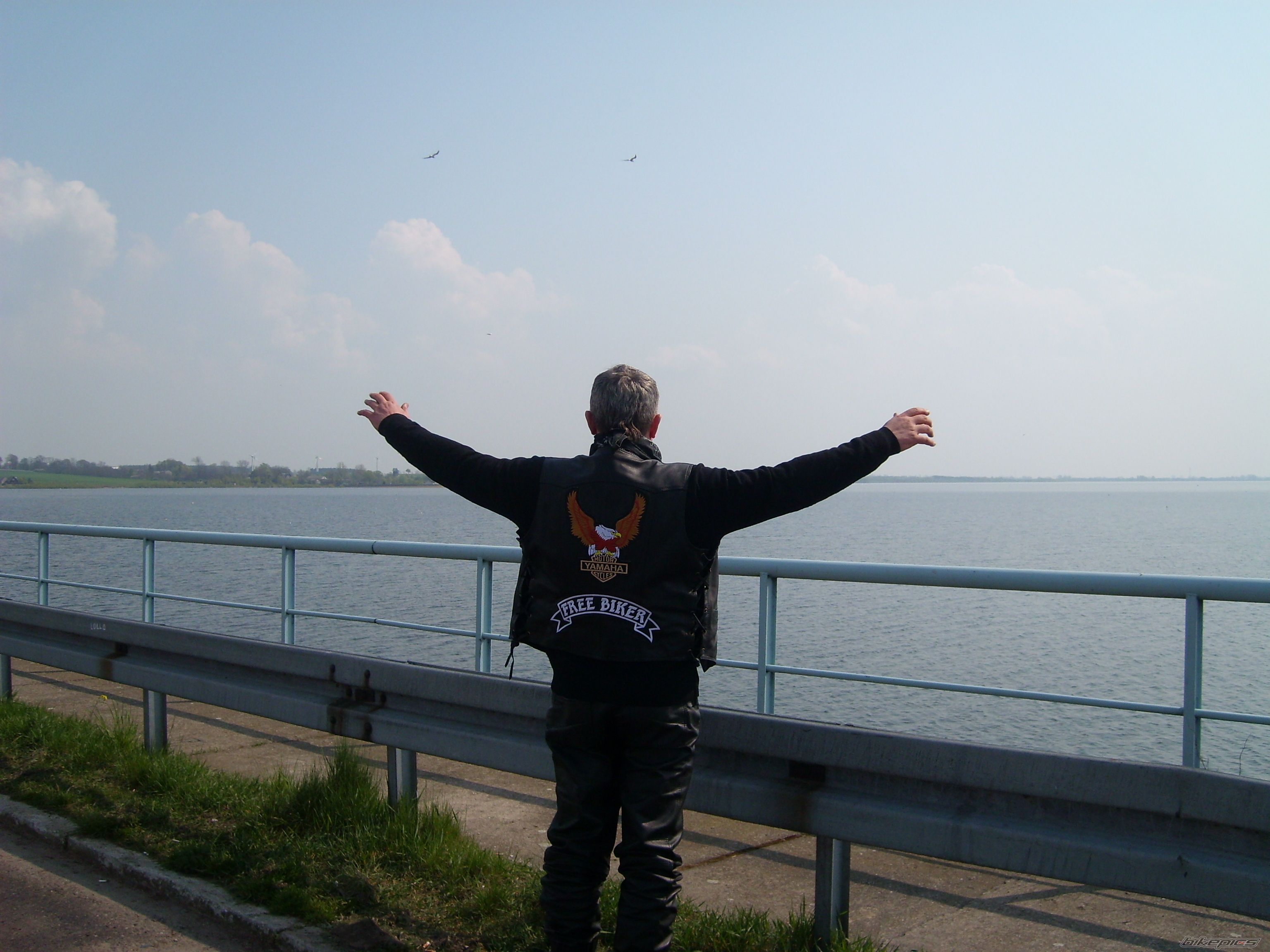Photo 1266658
