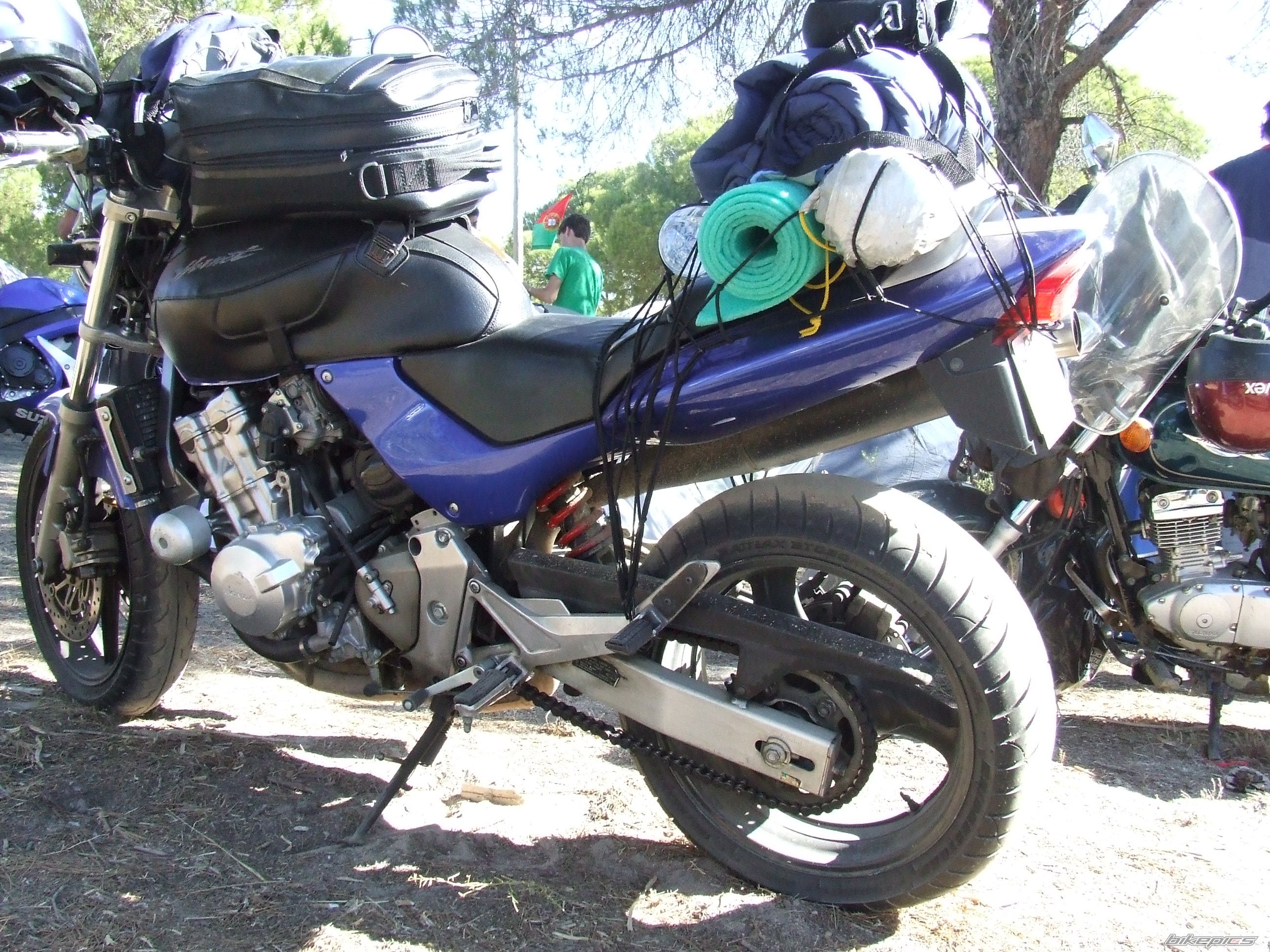 Photo 1266663