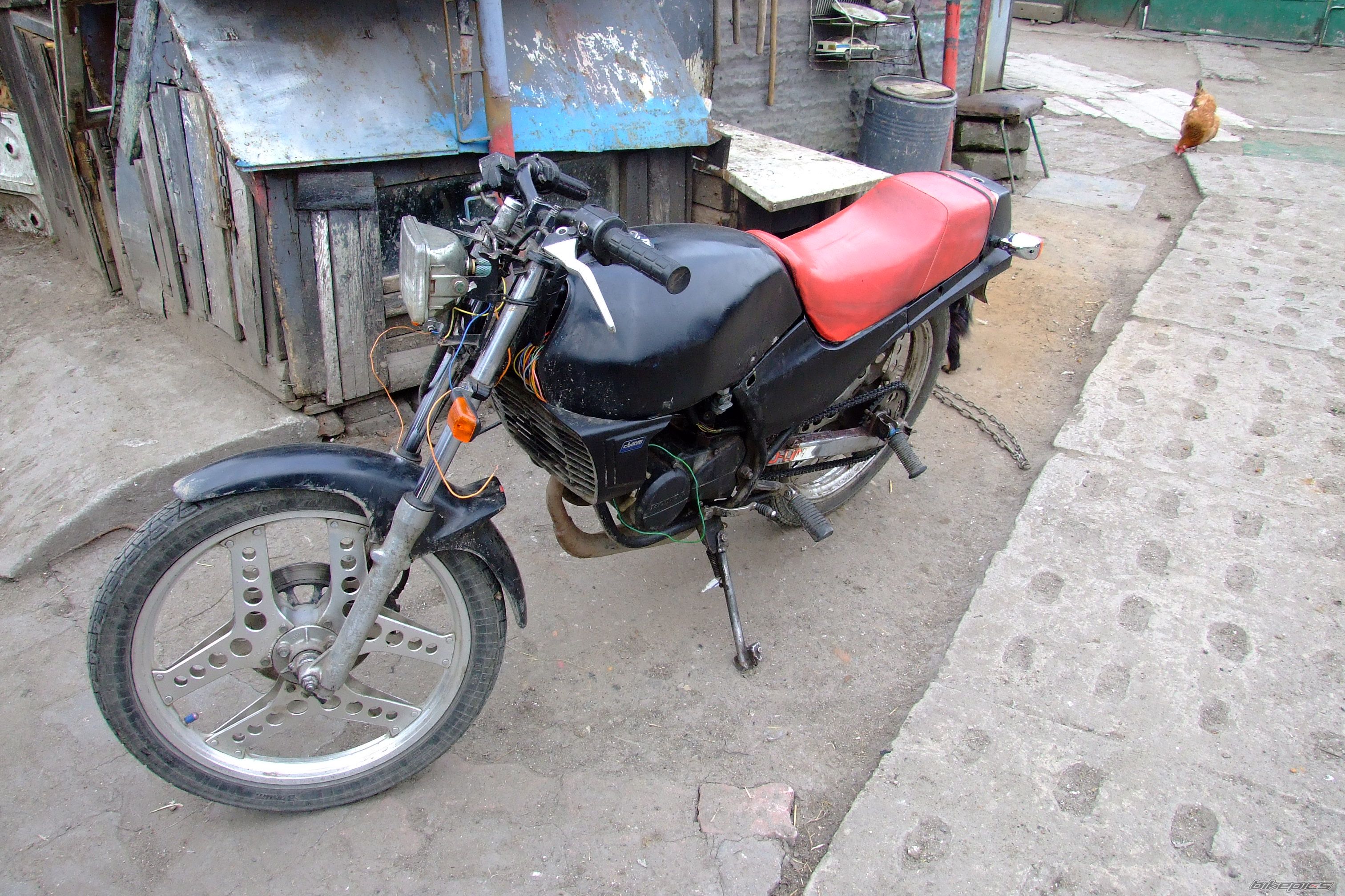 Photo 1266744