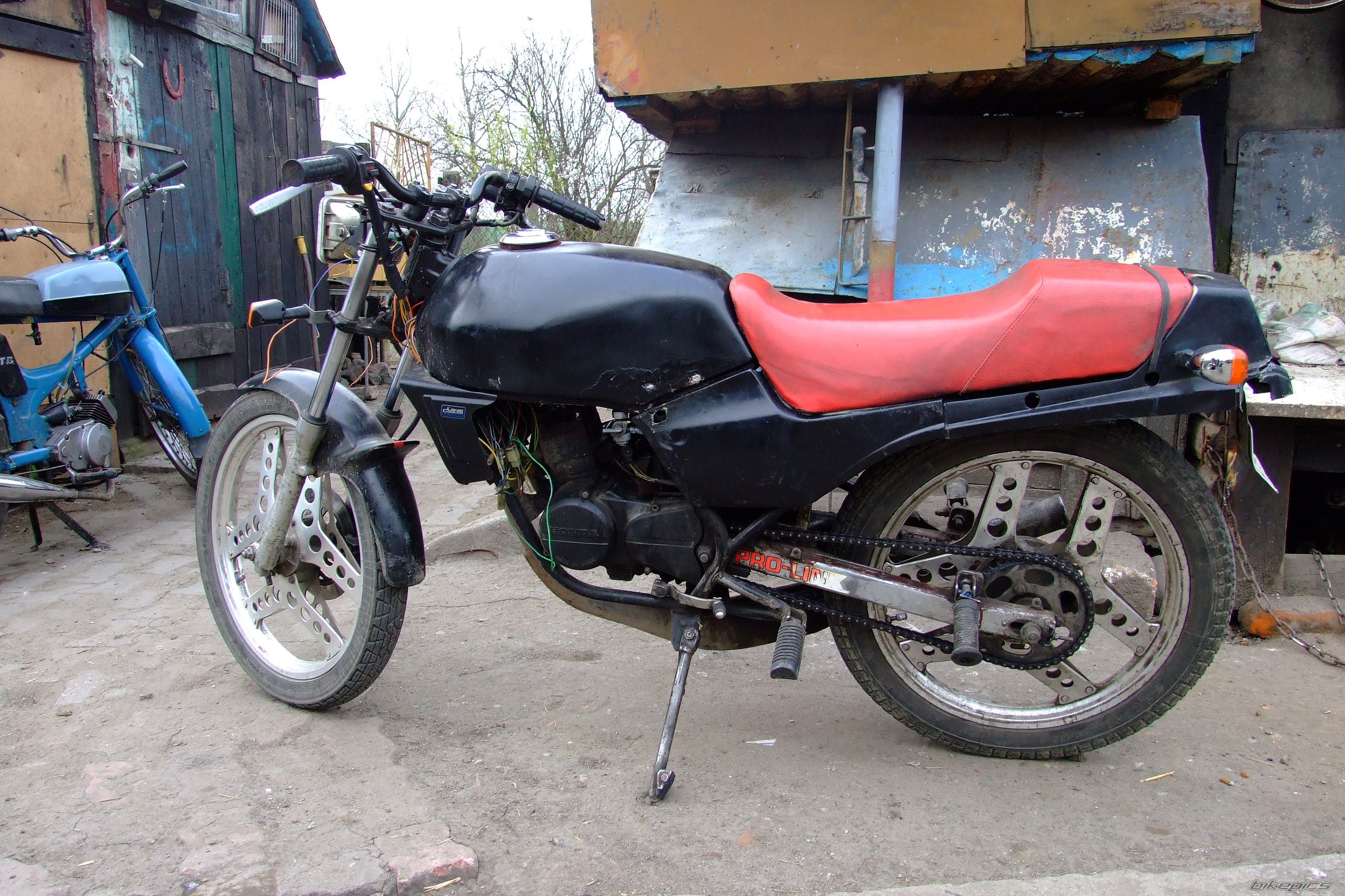 Photo 1266745