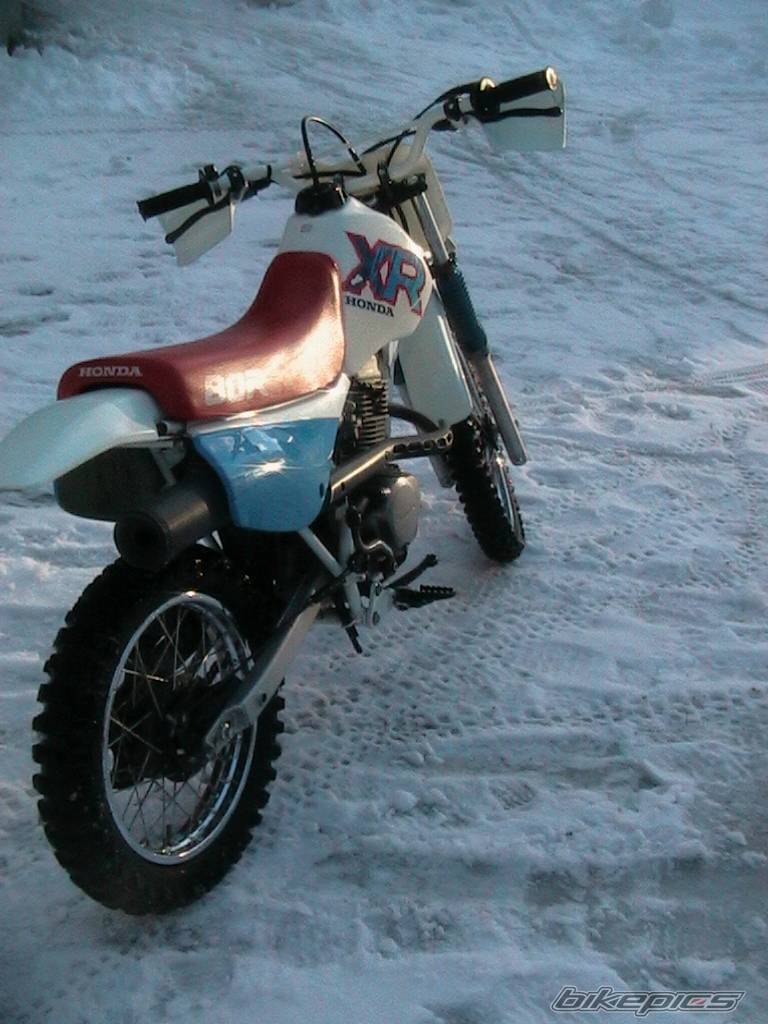 Photo 126679