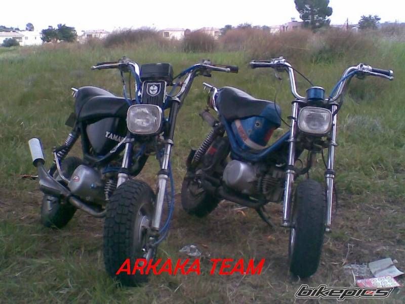Photo 1266794