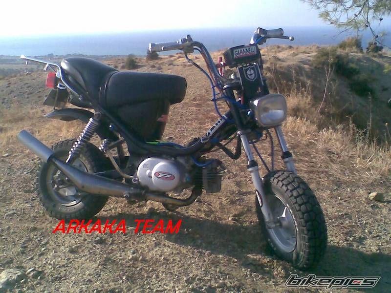 Photo 1266796
