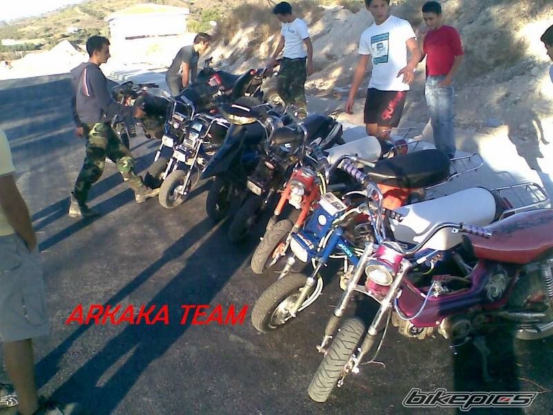 Photo 1266798