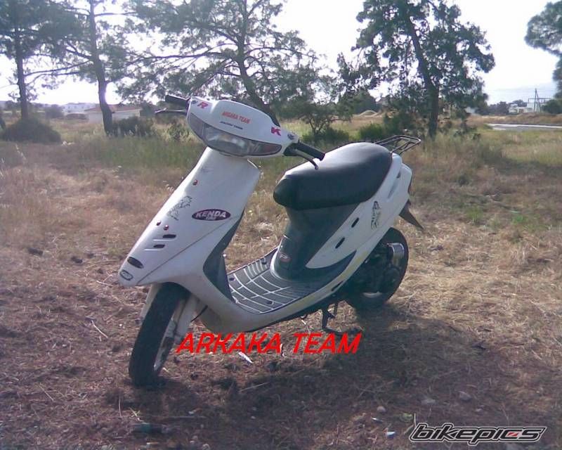 Photo 1266800