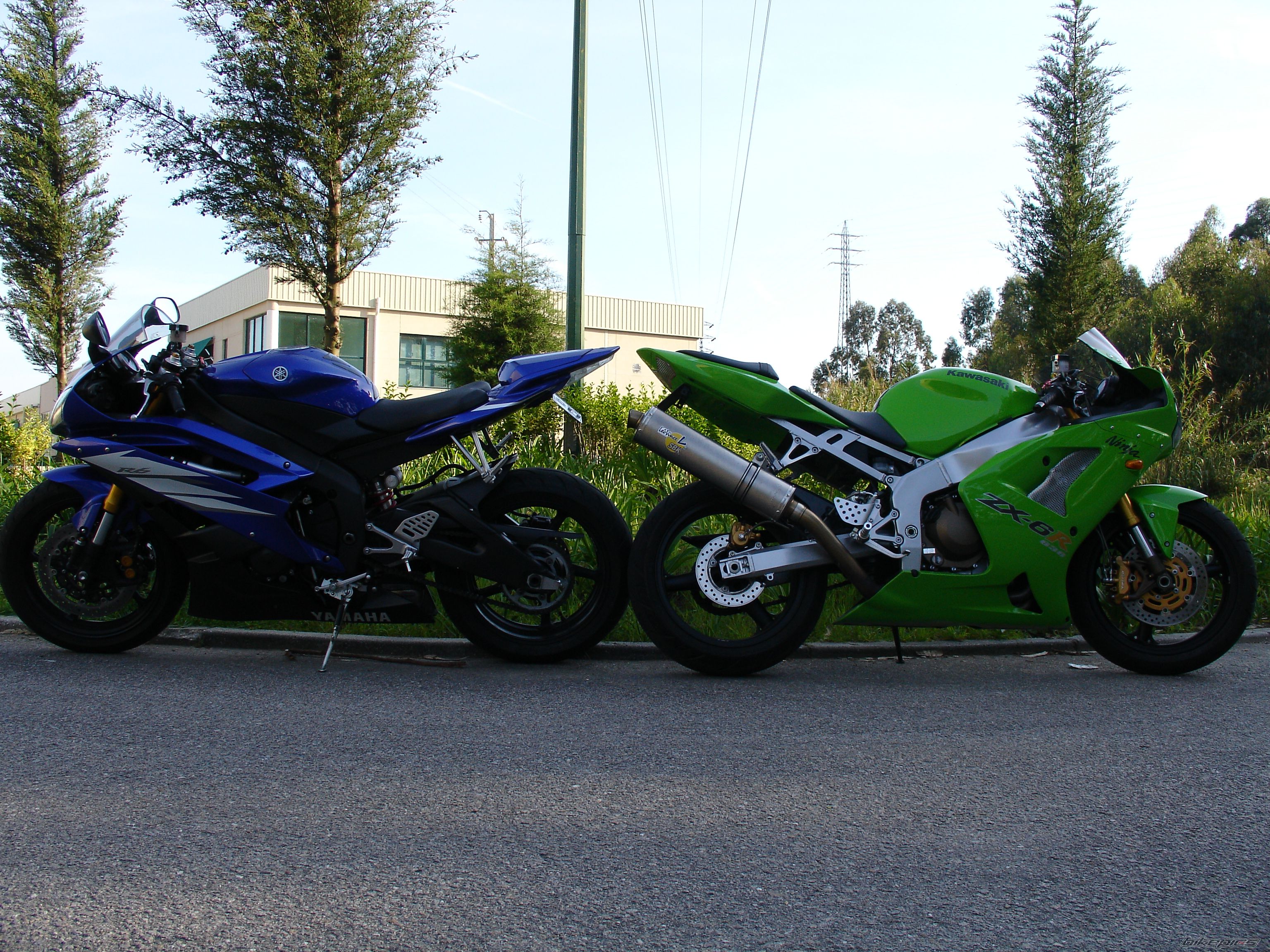 Photo 1266804