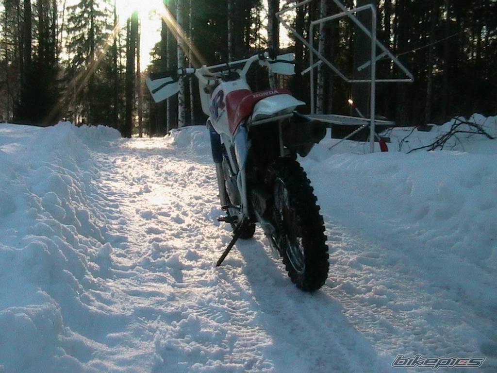 Photo 126686