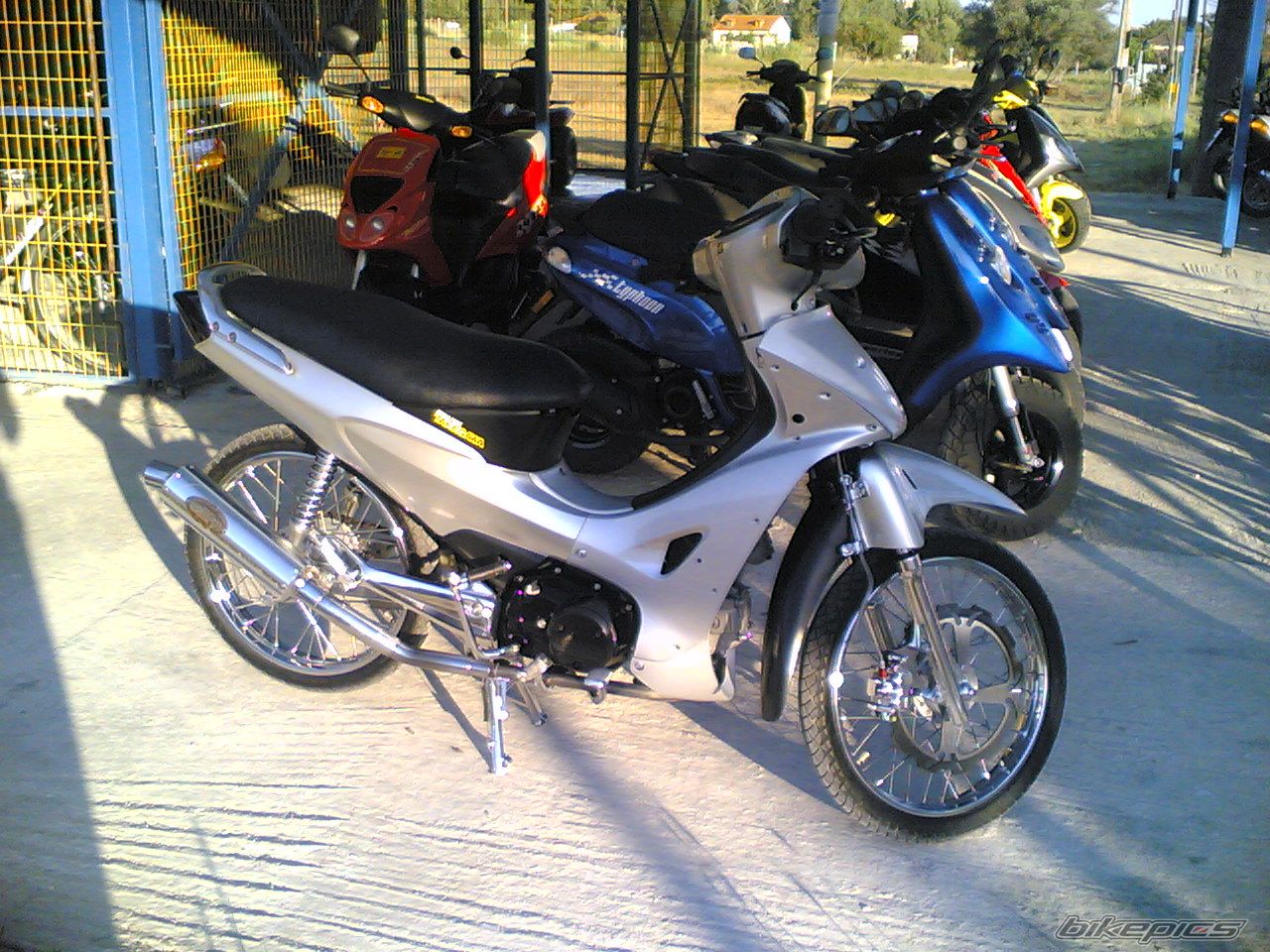Photo 1266896