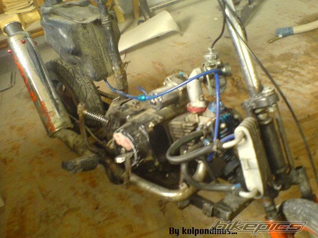 Photo 1266897