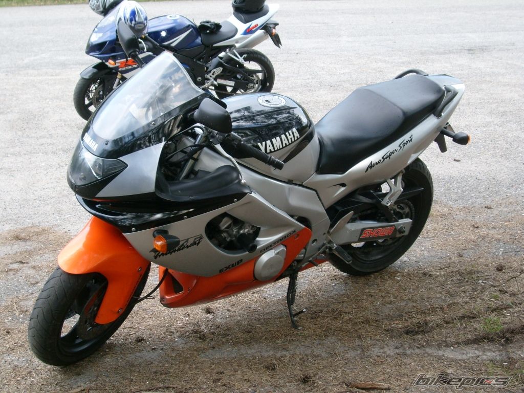Photo 1266942