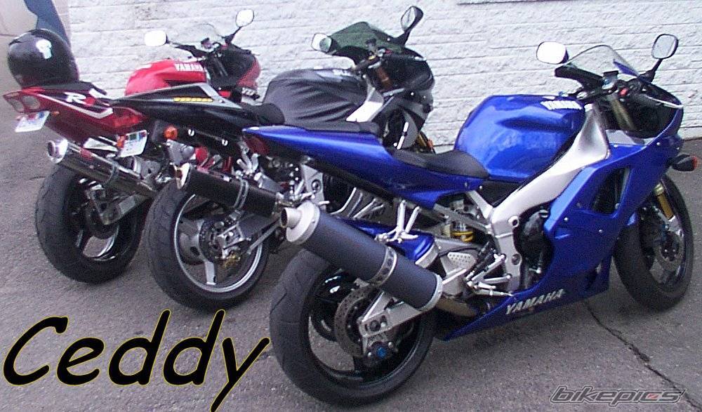 Photo 126699