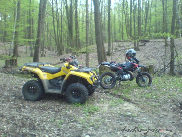 Photo 1267140