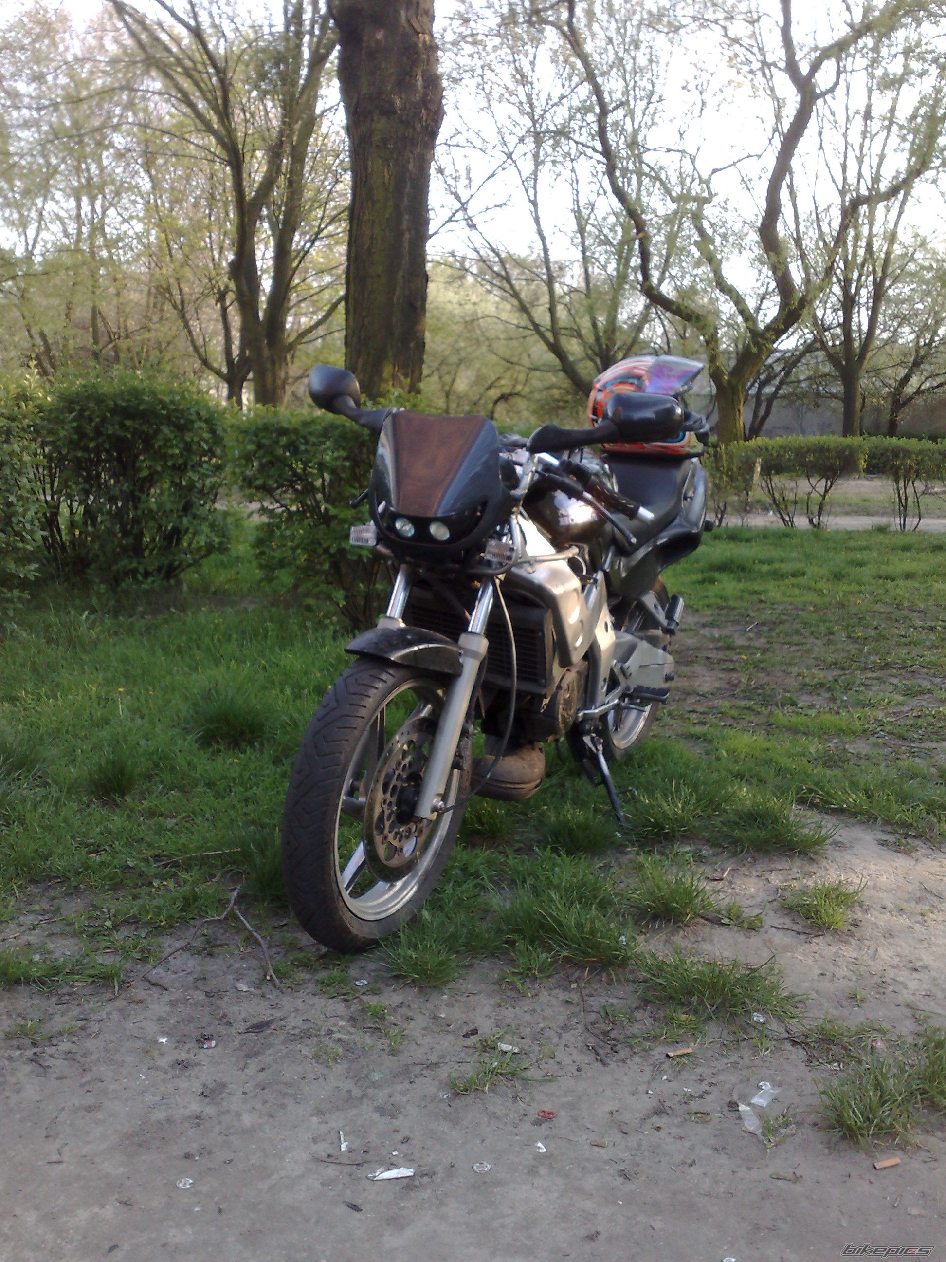 Photo 1267192