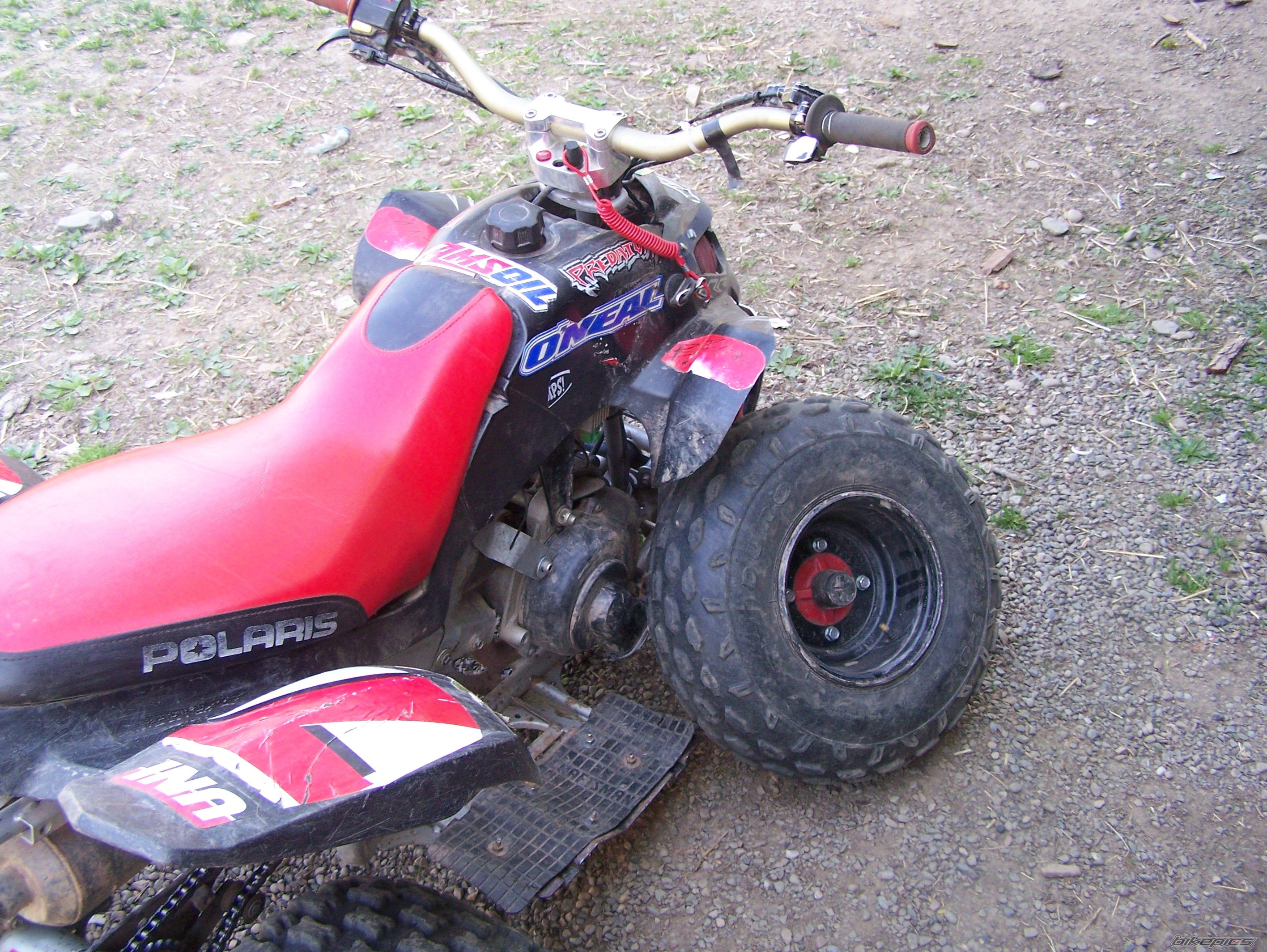Photo 1267387