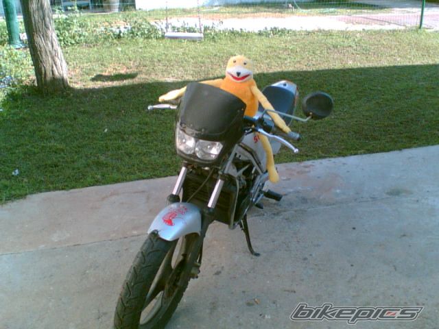 Photo 1267402