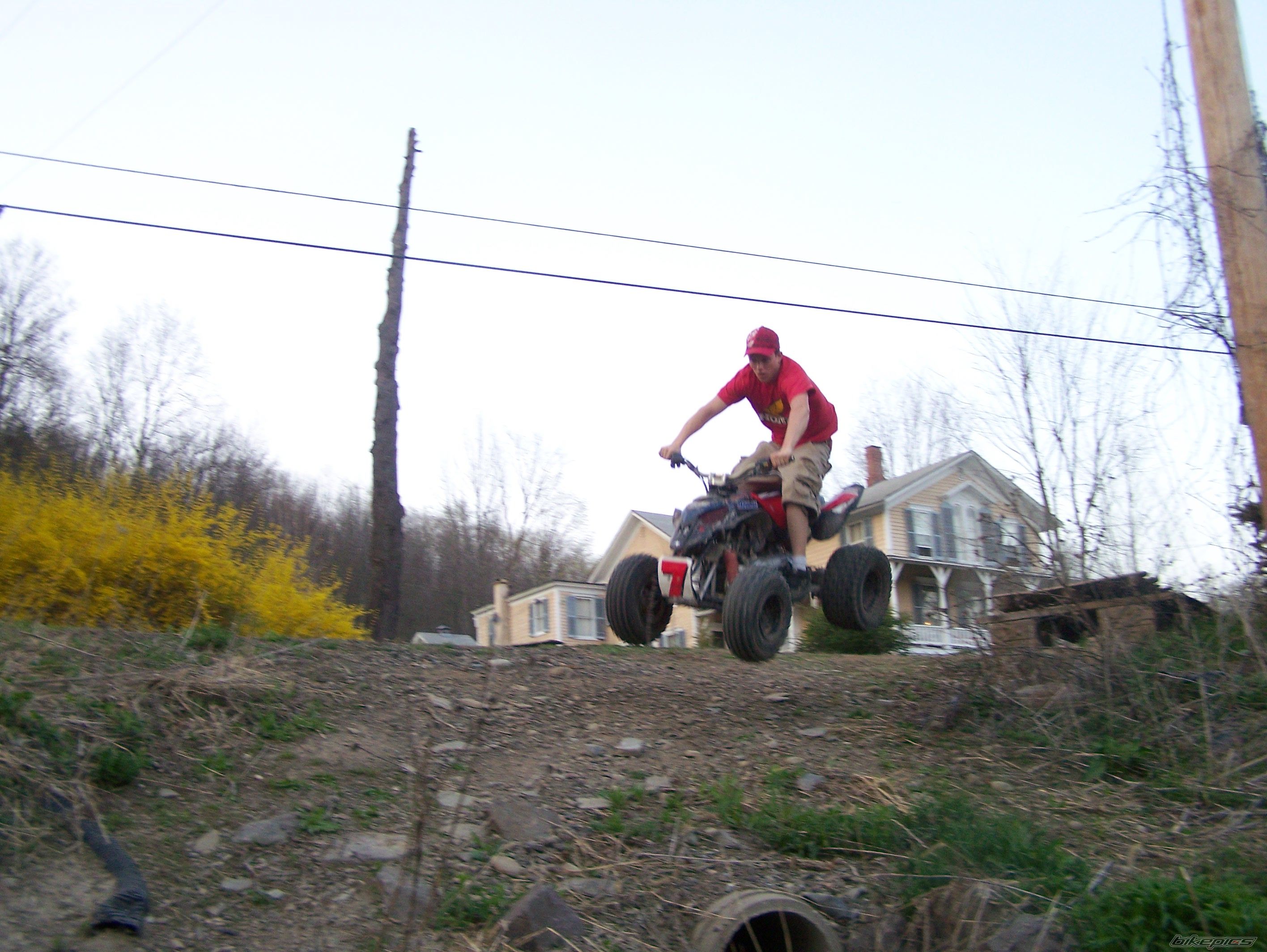 Photo 1267476