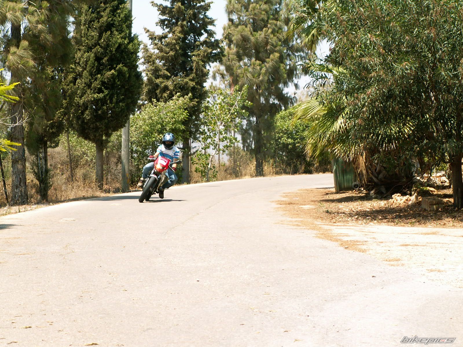 Bike Photo 1267481