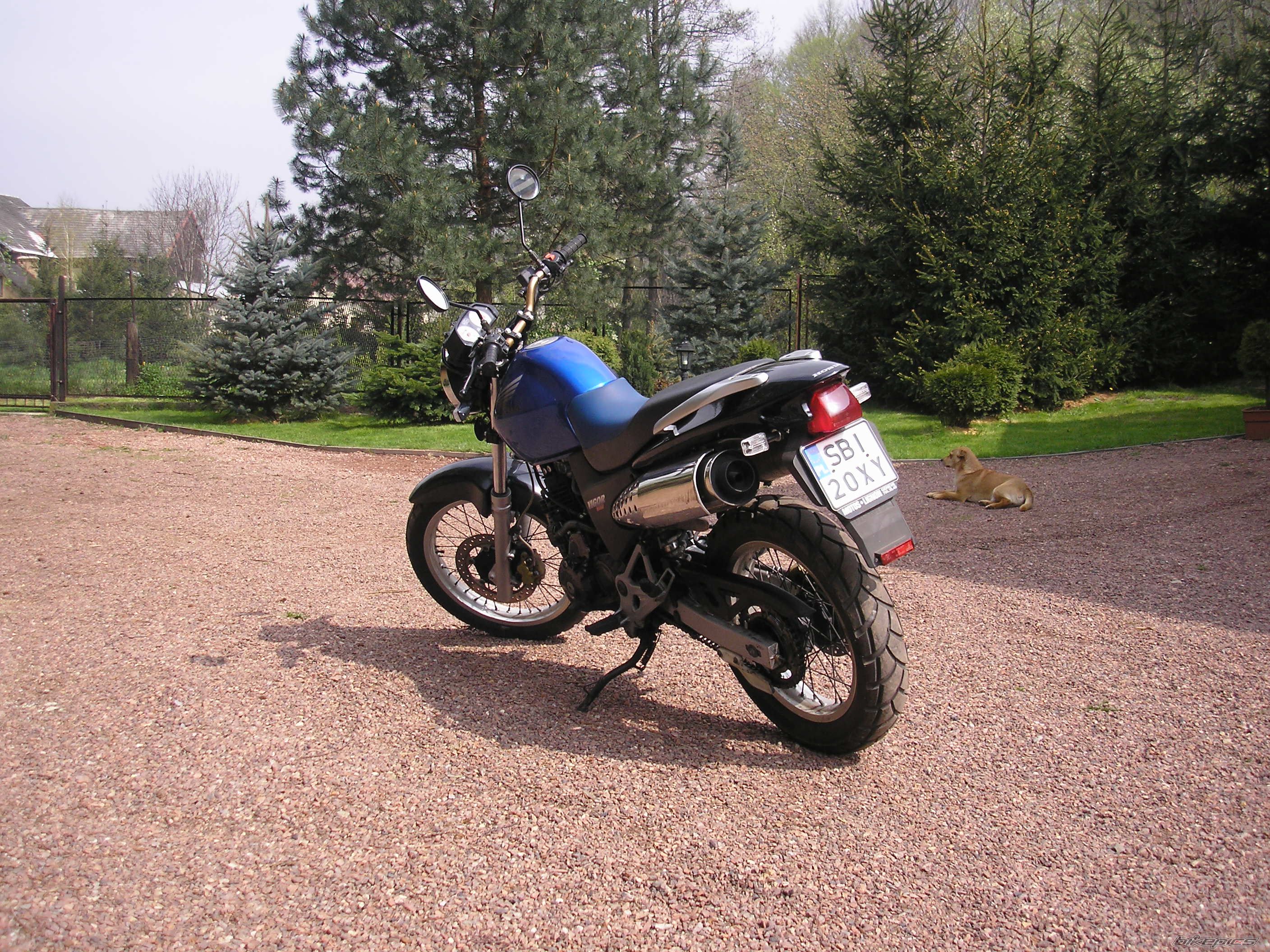 Bike Photo 1267561
