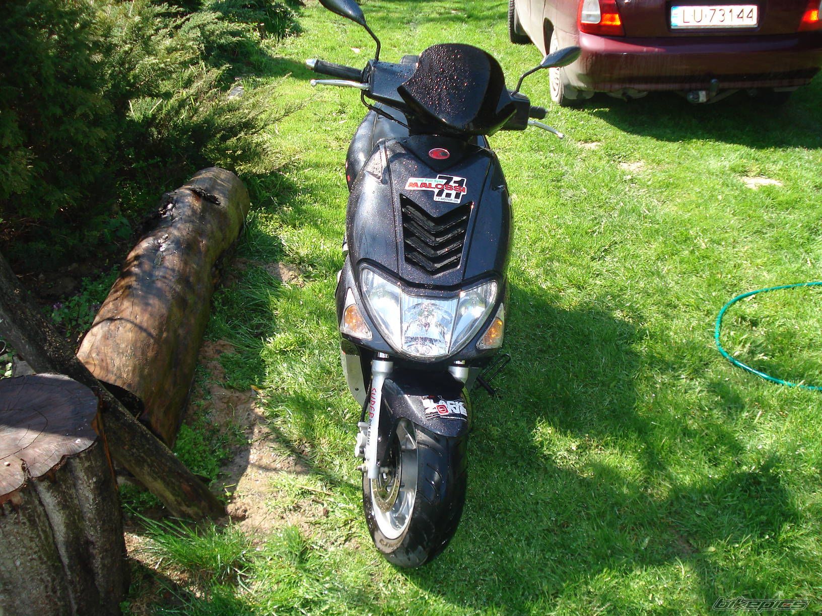Photo 1267572