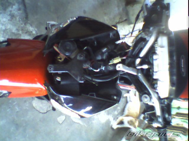 Photo 1267707