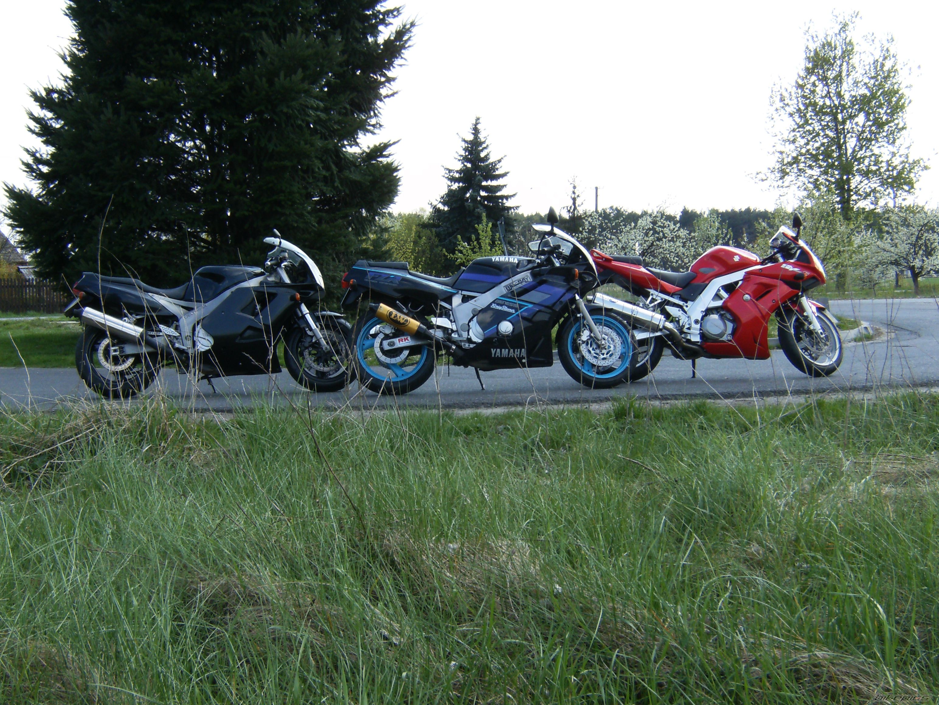 Photo 1267788
