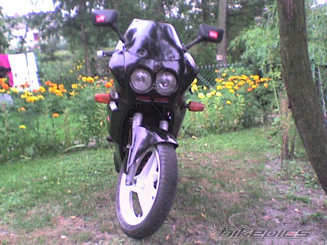 Photo 1267853