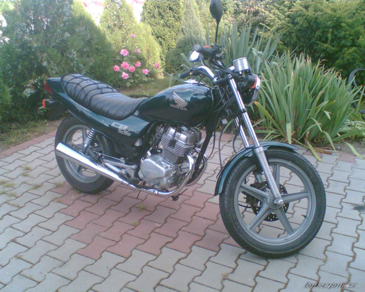 Bike Photo 1267939
