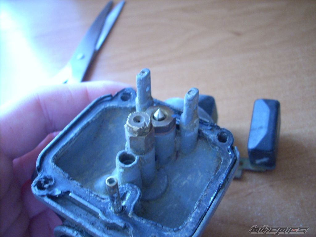 Photo 1267981