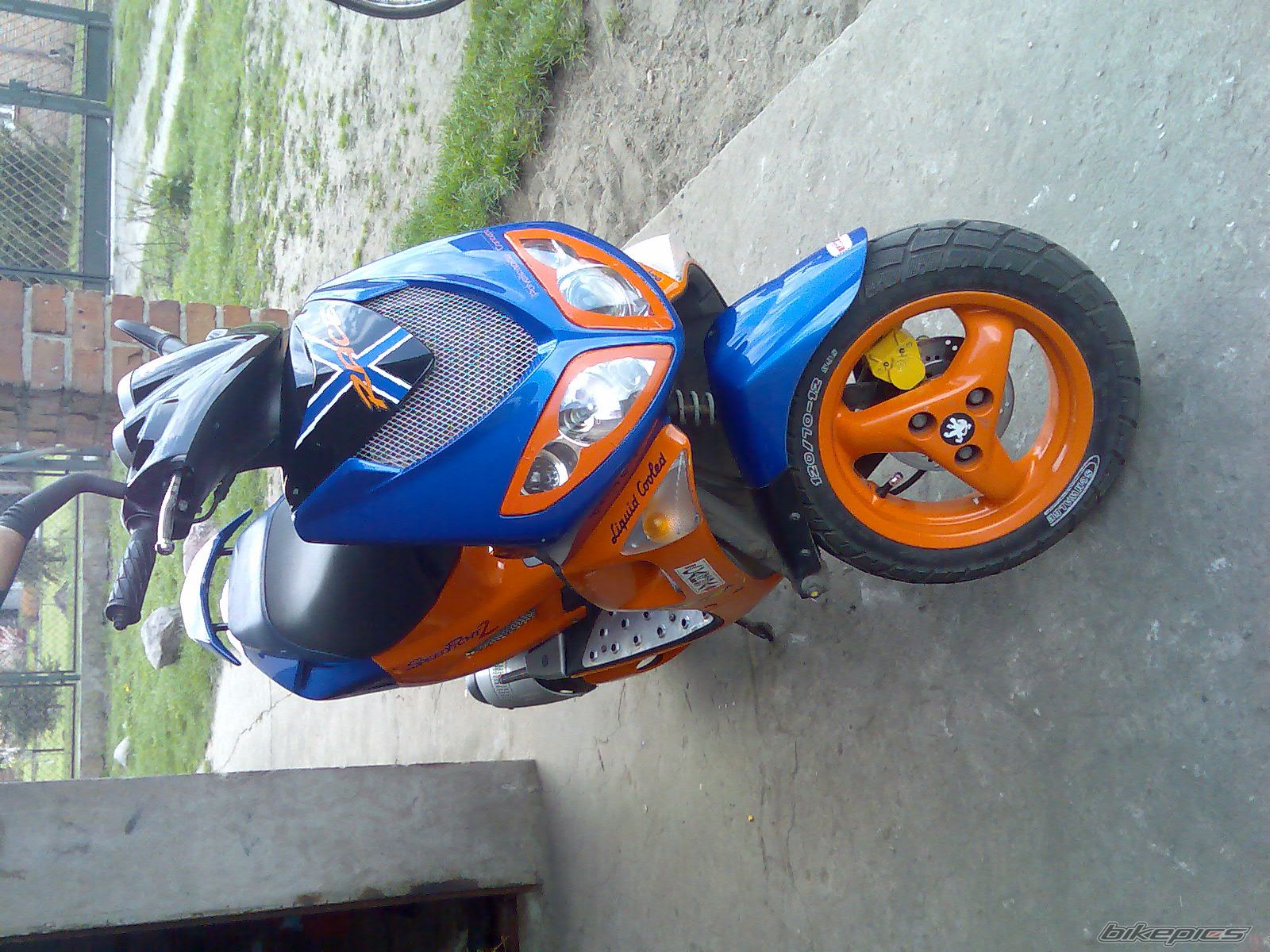 Photo 1267990