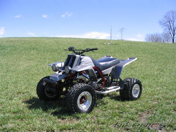 Photo 126801