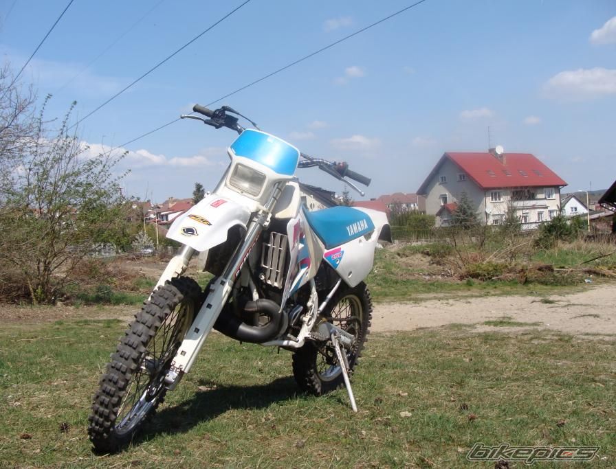 Photo 1268025