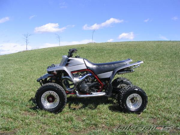 Photo 126803