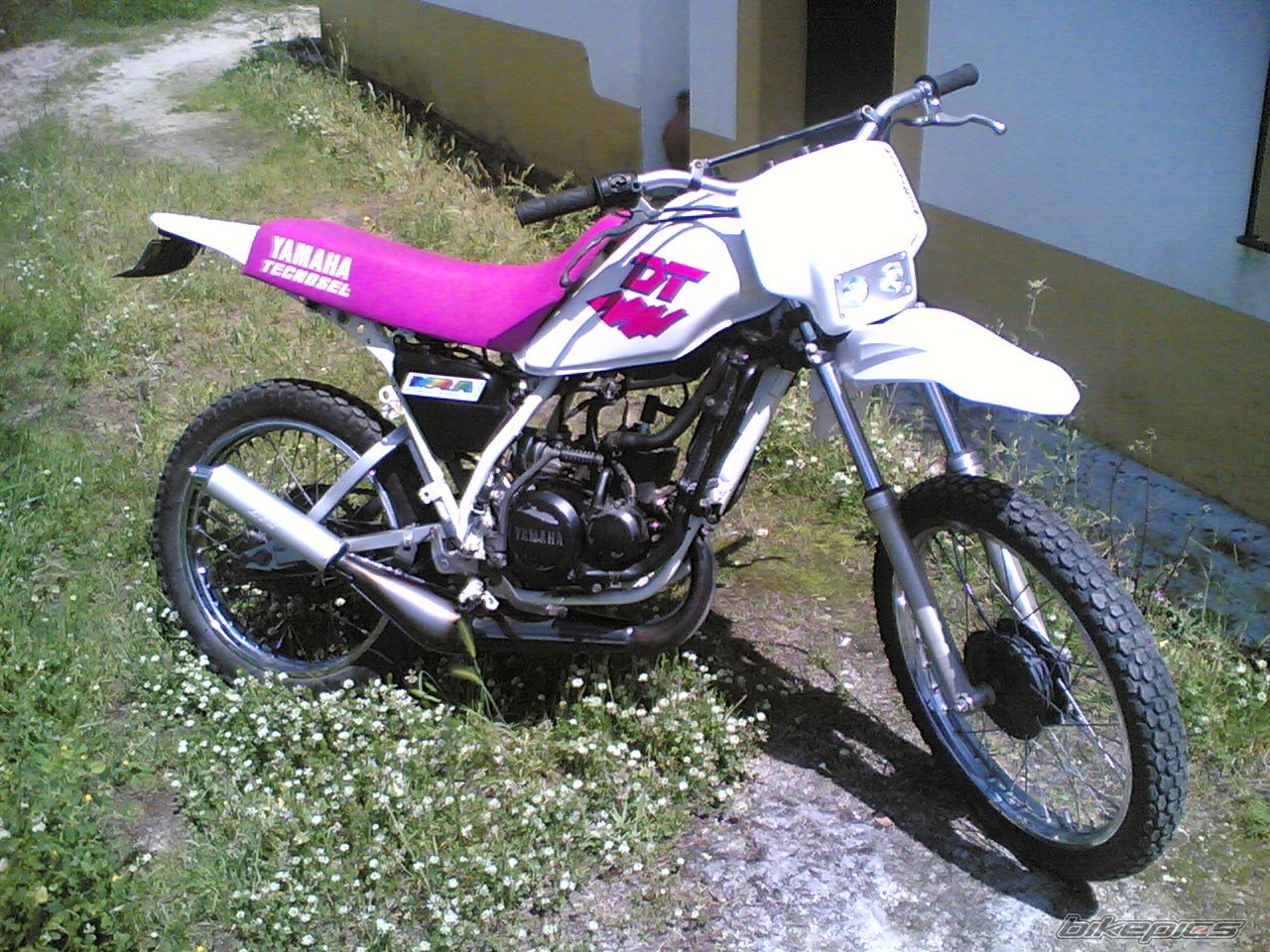 Photo 1268045