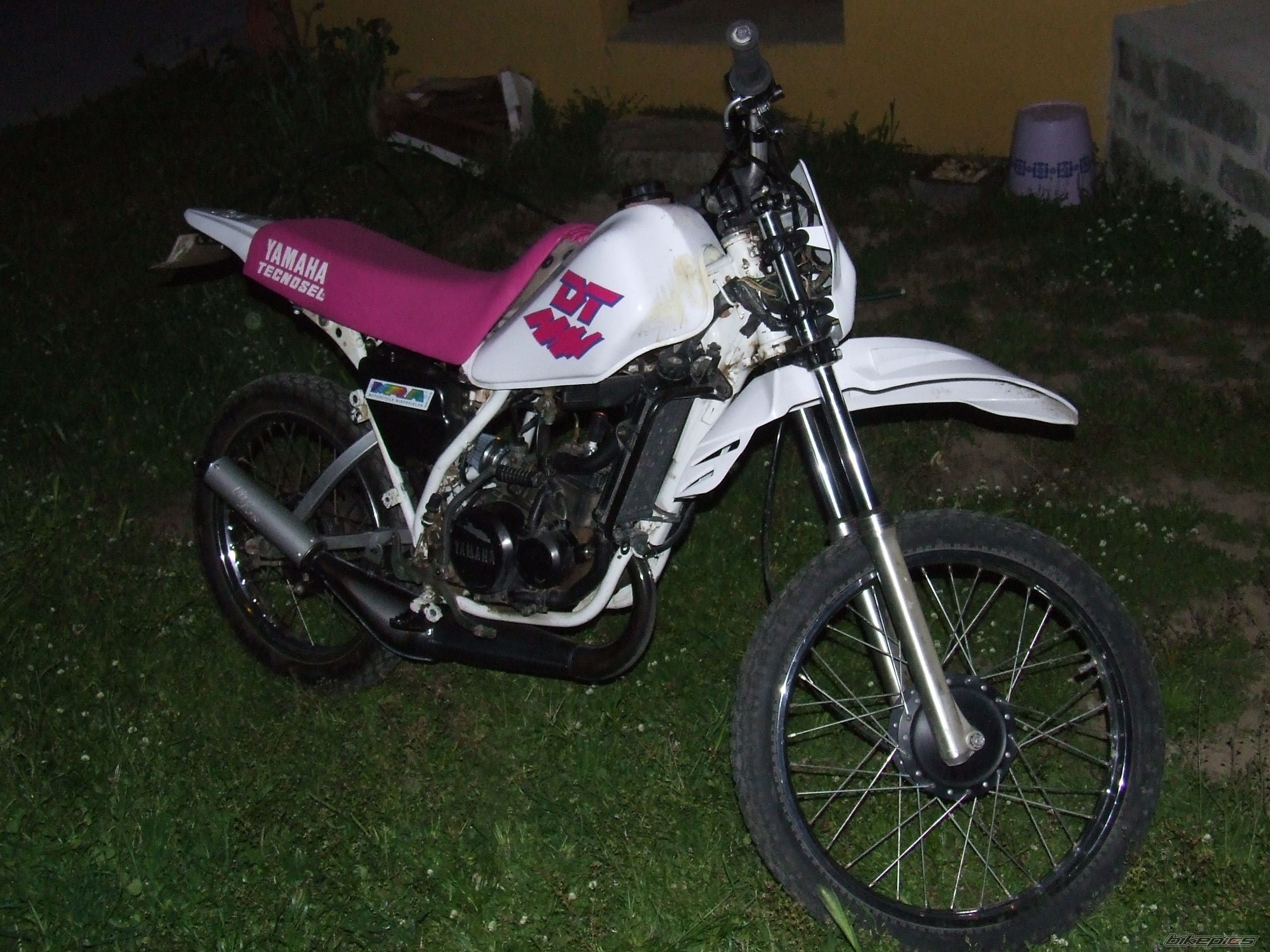 Photo 1268051
