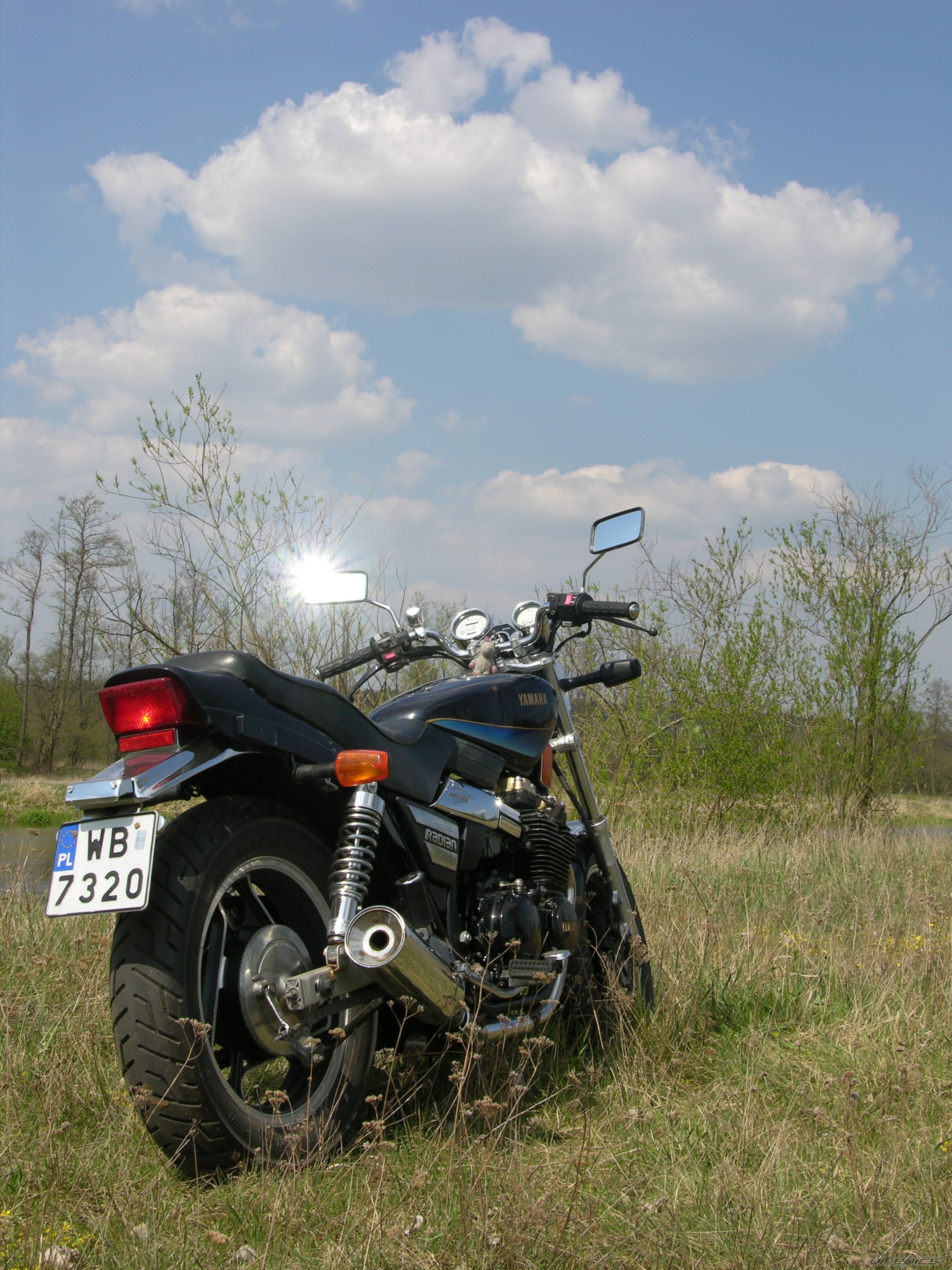 Photo 1268058