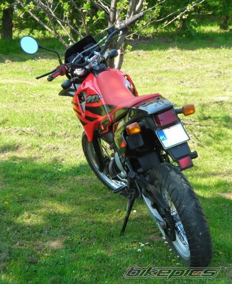 Photo 1268063