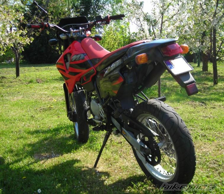Photo 1268065