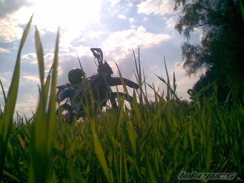 Photo 1268260