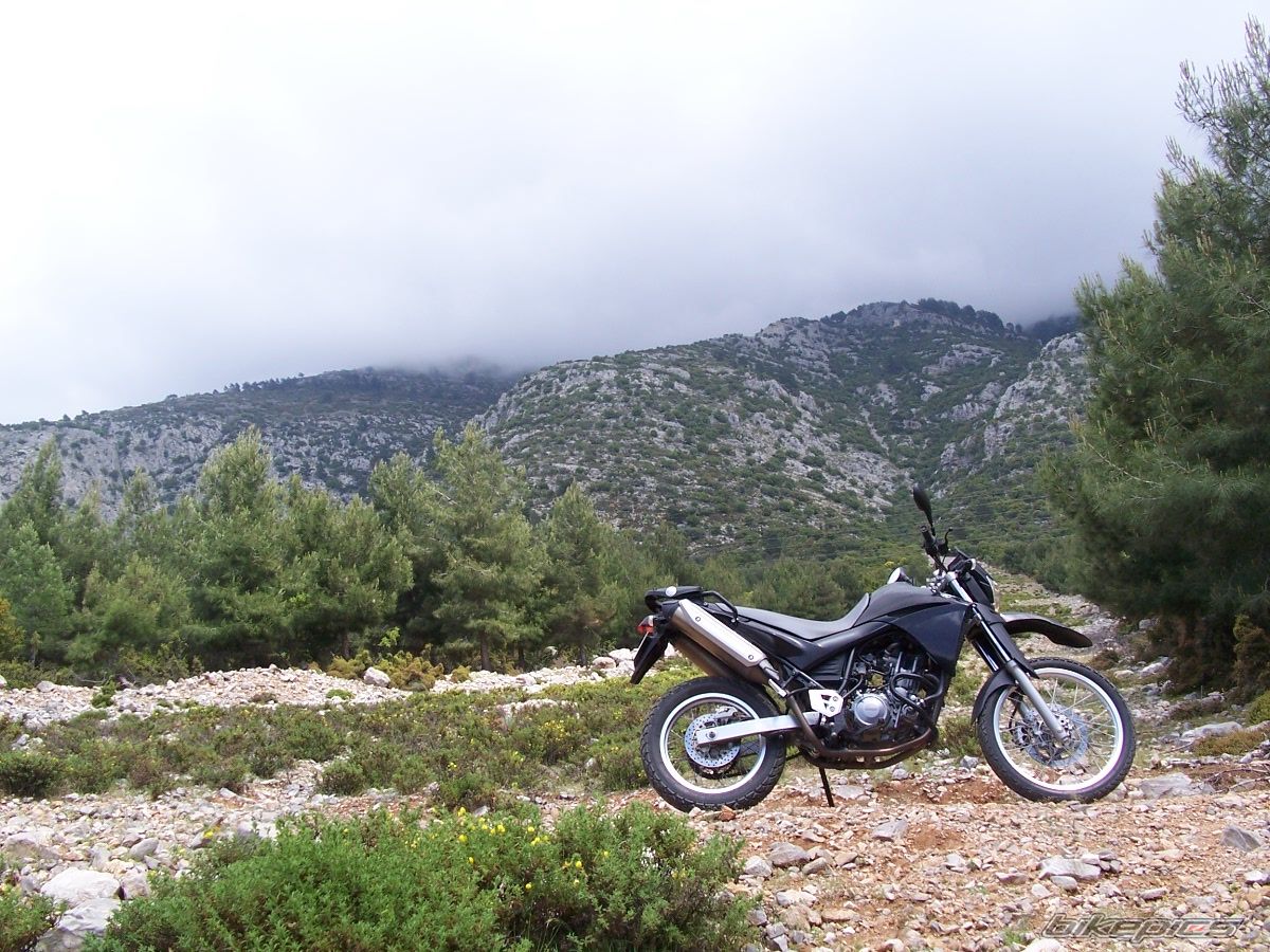 Bike Photo 1268292