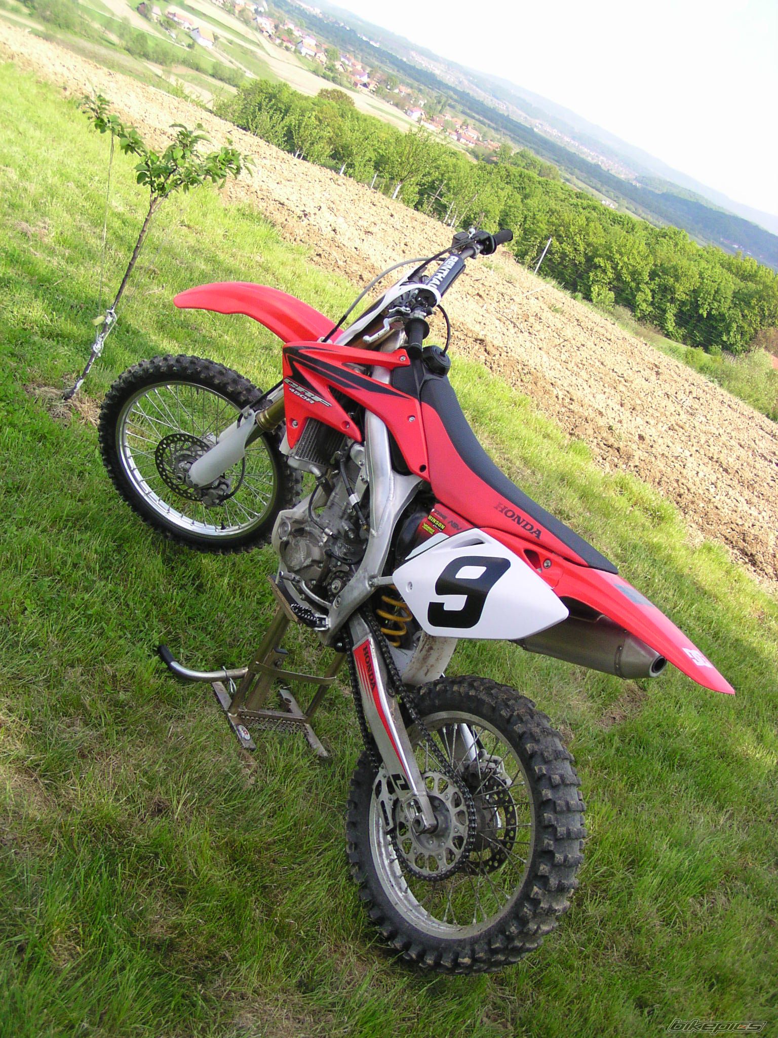 Photo 1268313