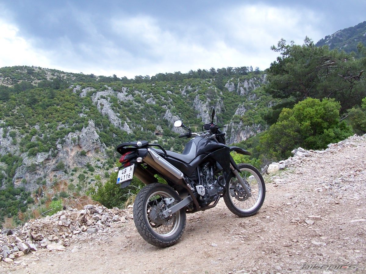 Bike Photo 1268325